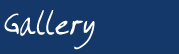 Hippo Food Design Gallery